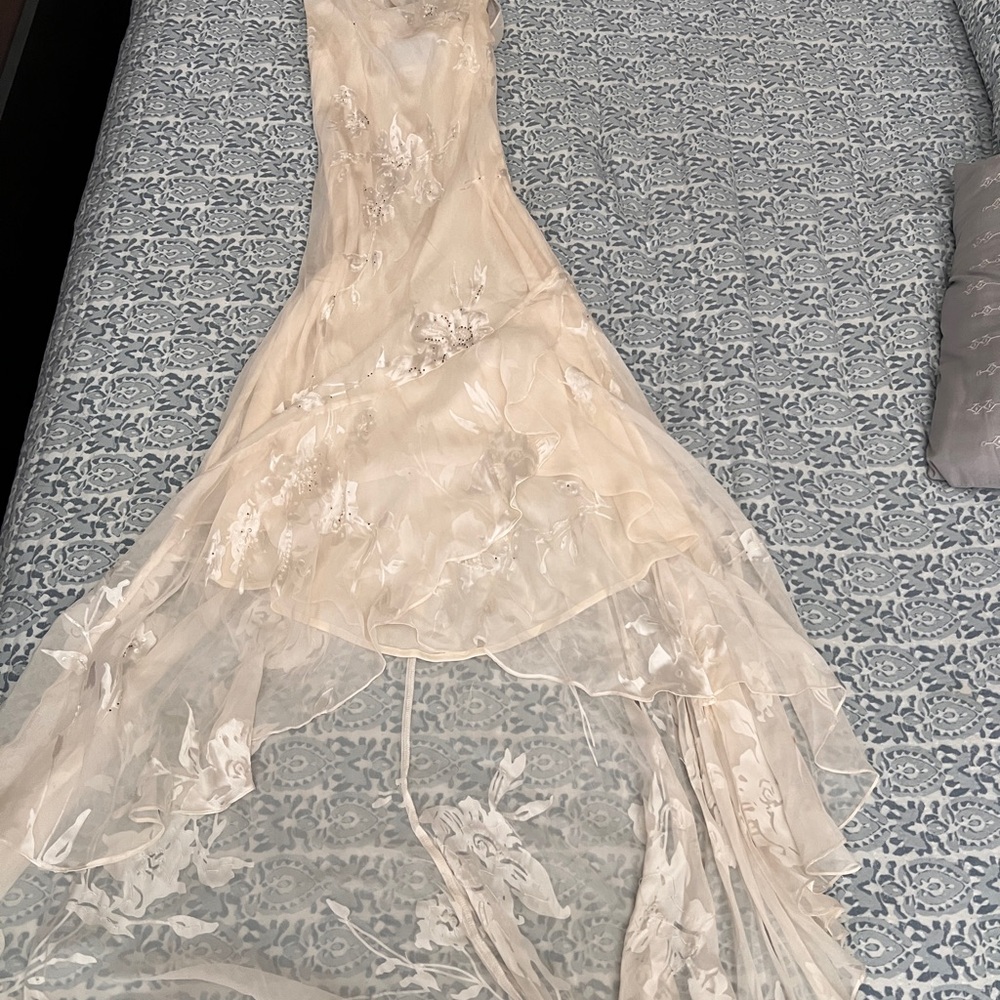 Elegant Cream Lace Dress